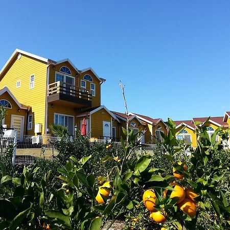 Willa Healing House Seogwipo Zewnętrze zdjęcie