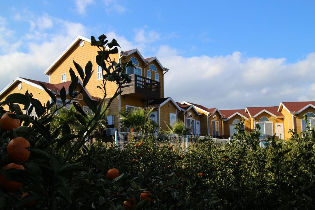 Willa Healing House Seogwipo Zewnętrze zdjęcie