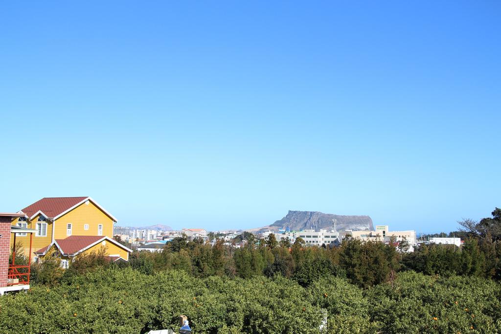 Willa Healing House Seogwipo Zewnętrze zdjęcie